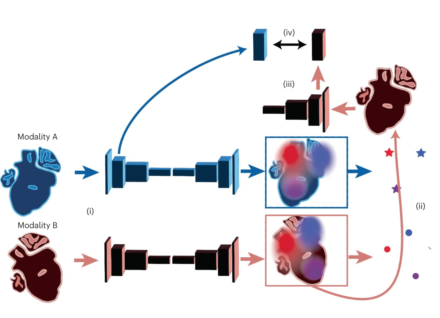 Open access visualization of Workflow, Illustration, Multimodal Data, Landmark Detector, Spatial Argmax