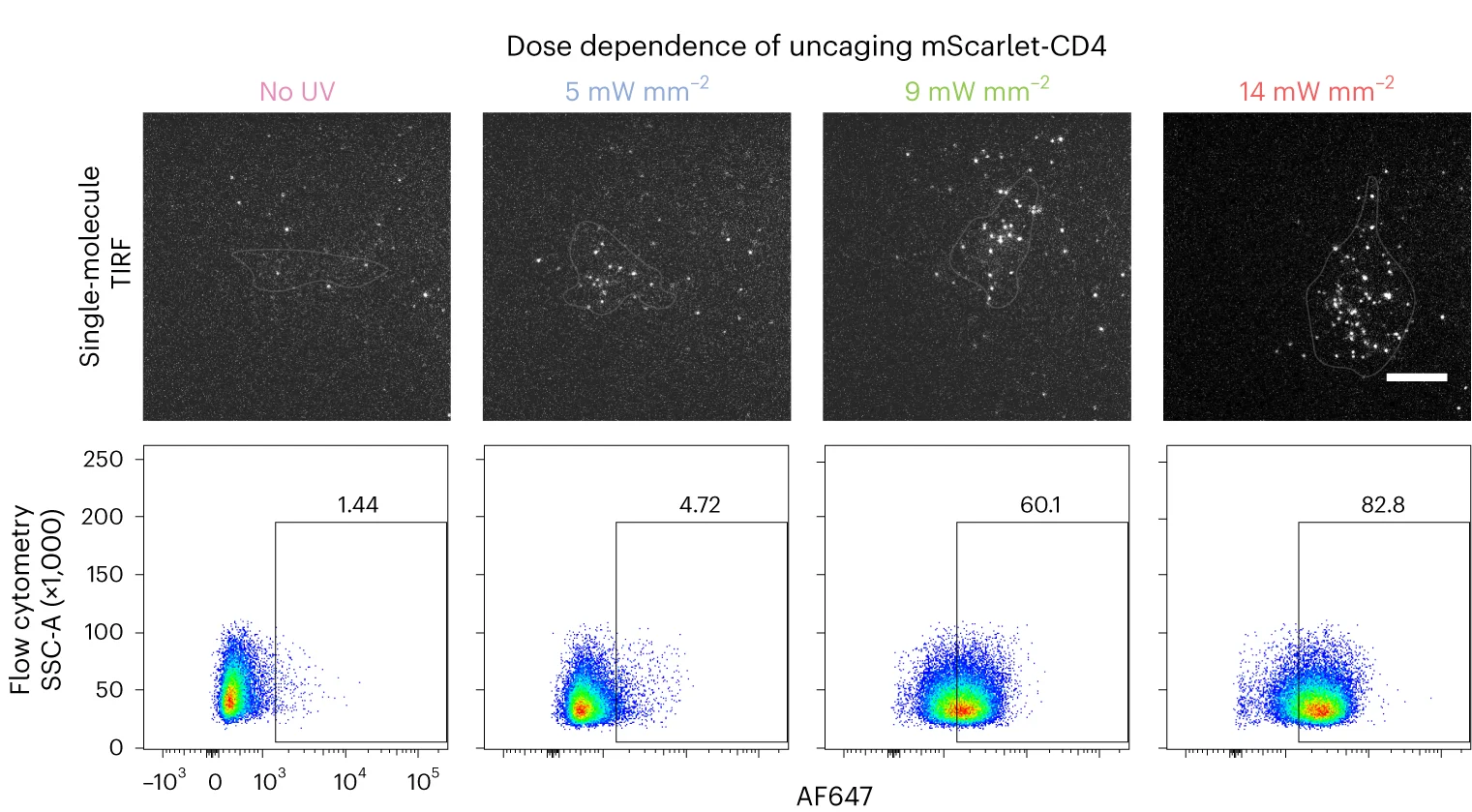 Open access visualization of Microscopy, Scatter Plot, TIRF Images, Flow Cytometry, HeLa Cells