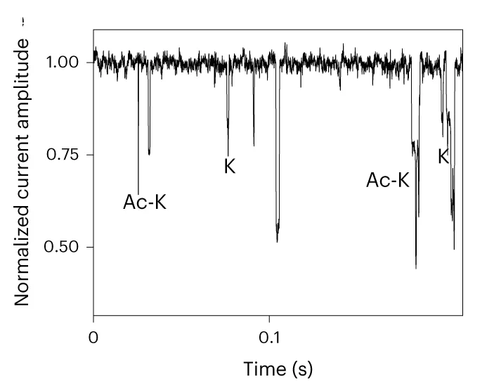 Open access visualization of Line Plot, Current Trace, Amino Acids, PTMs, K