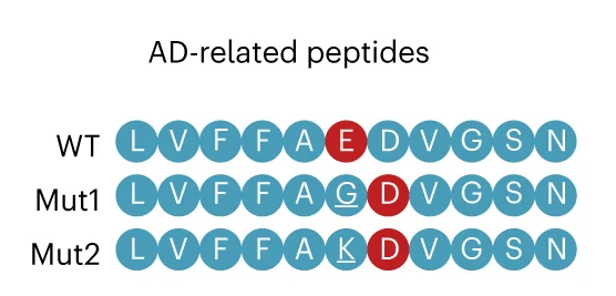 Open access visualization of Illustration, Wild-Type Ab, Alzheimer's Disease, Mutants, Amino Acids