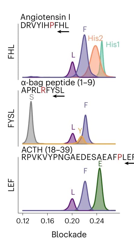 Open access visualization of Density Plot, Line Plot, Amino Acid Identification, Hydrolysate, Angiotensin I