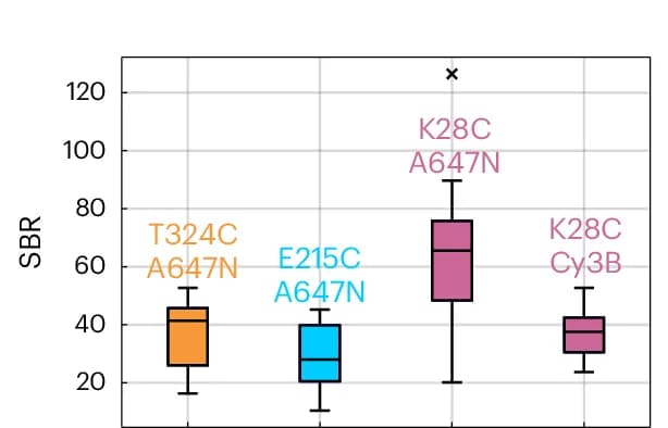 Open access visualization of Box Plot, Boxplot, SBR, Motor Constructs, Kinesin-1
