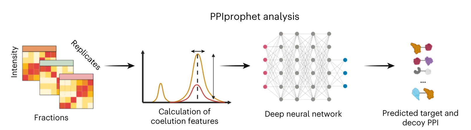 Open access visualization of Workflow, Computational Framework, Protein-Protein Interactions, Deep Learning, Interaction Network