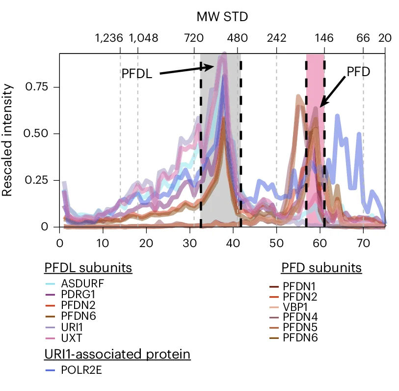 Open access visualization of Line Plot, Density Plot, Coelution Profiles, PFD Complex, PFDL Complex