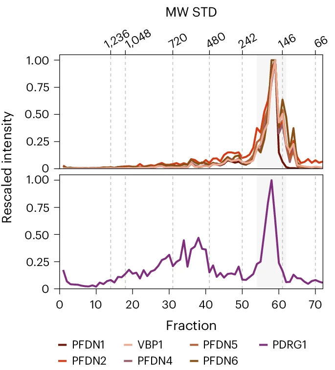 Open access visualization of Line Plot, PFDN2 DIP-MS, PFD Complex, PDRG1, MS2 Intensity