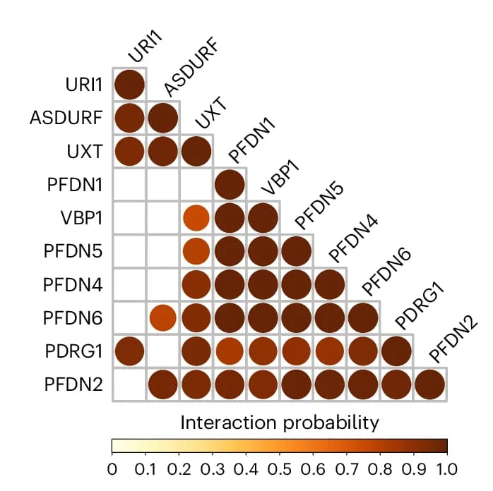 Open access visualization of Scatter Plot, Bubble Plot, Heatmap, Triangular Matrix, Interaction Probability