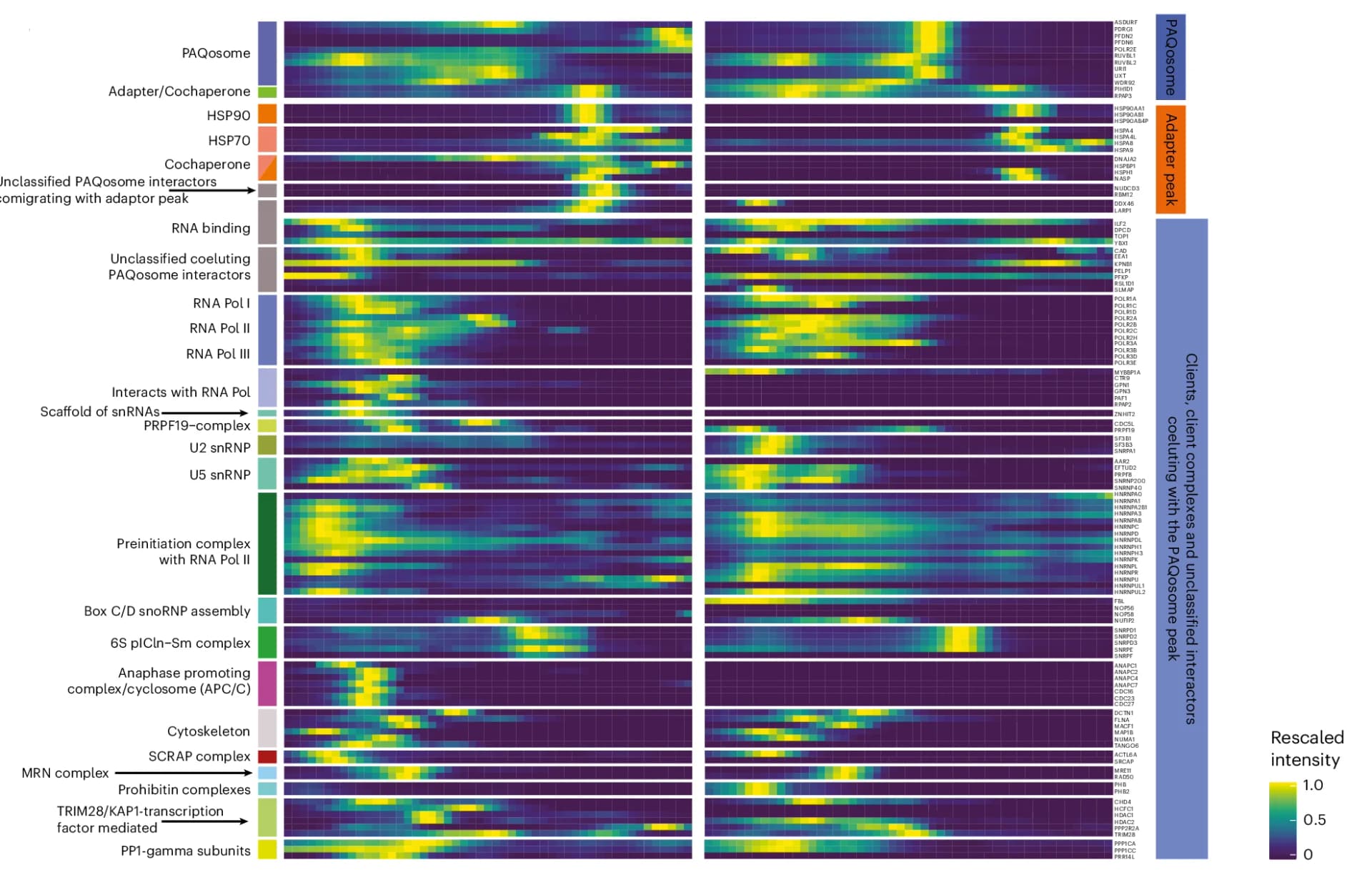 Open access visualization of Heatmap, Clients, UXT, PFDN2, DIP-MS