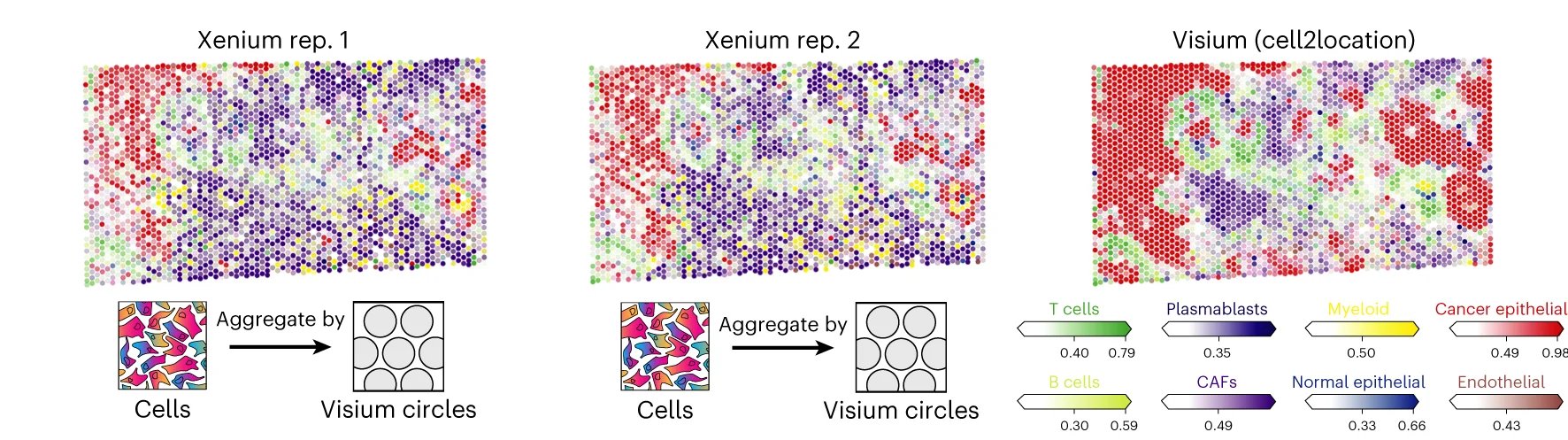Open access visualization of Scatter Plot, Heatmap, SpatialData Queries, Cross-modality Aggregation, Quality Control
