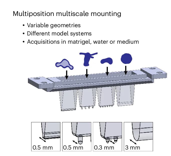 Open access visualization of Illustration, Sample Holder, Sample Chambers