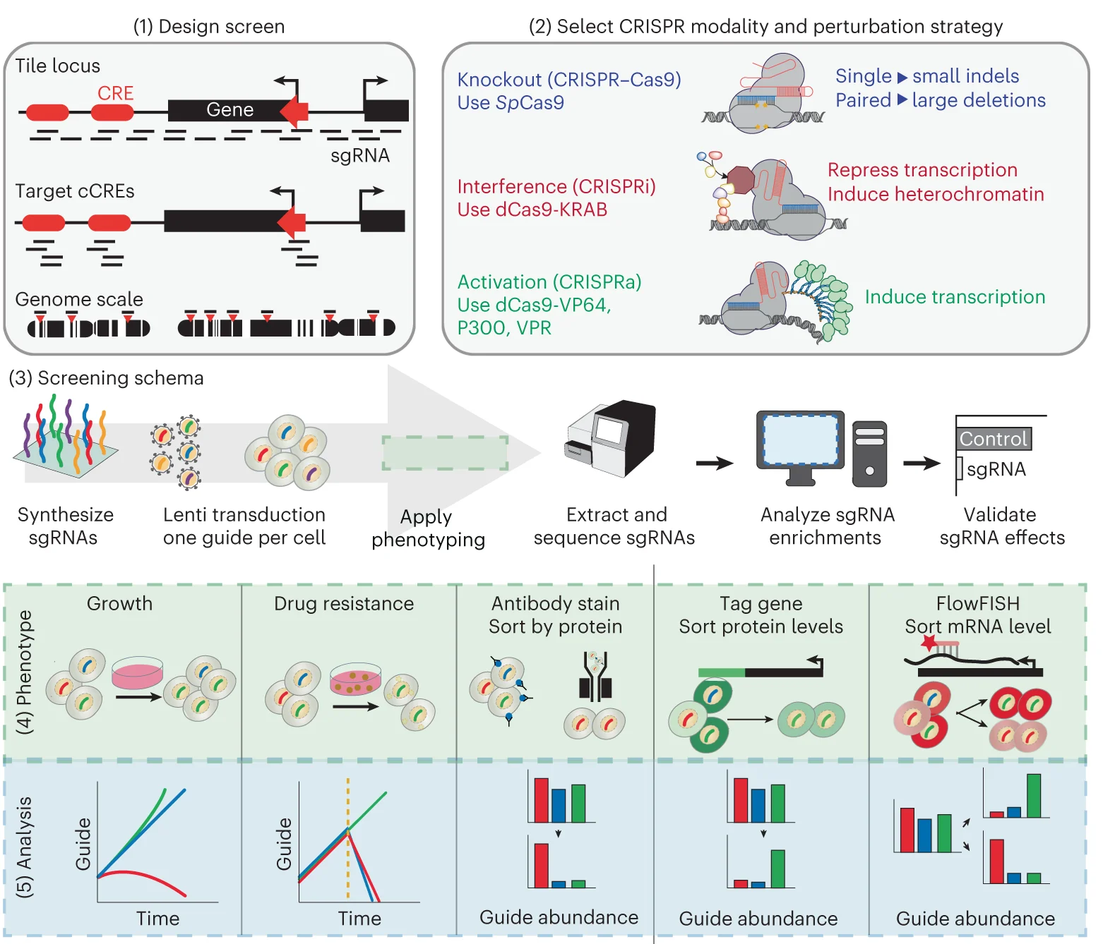 Open access visualization of Workflow, Line Plot, Bar Plot, CRISPR, Noncoding Strategies