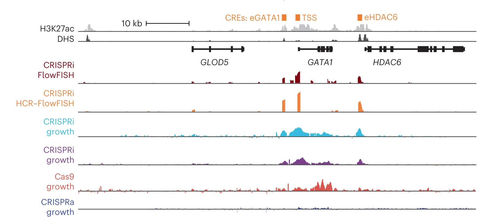 Open access visualization of Line Plot, Genome Browser, GATA1 Locus, H3K27ac, DHS Signal