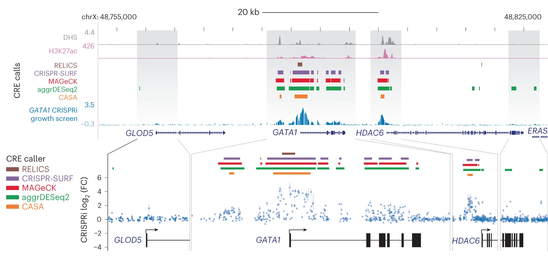 Open access visualization of Line Plot, Scatter Plot, sgRNA, Growth Effects, H3K27ac ChIP Signal