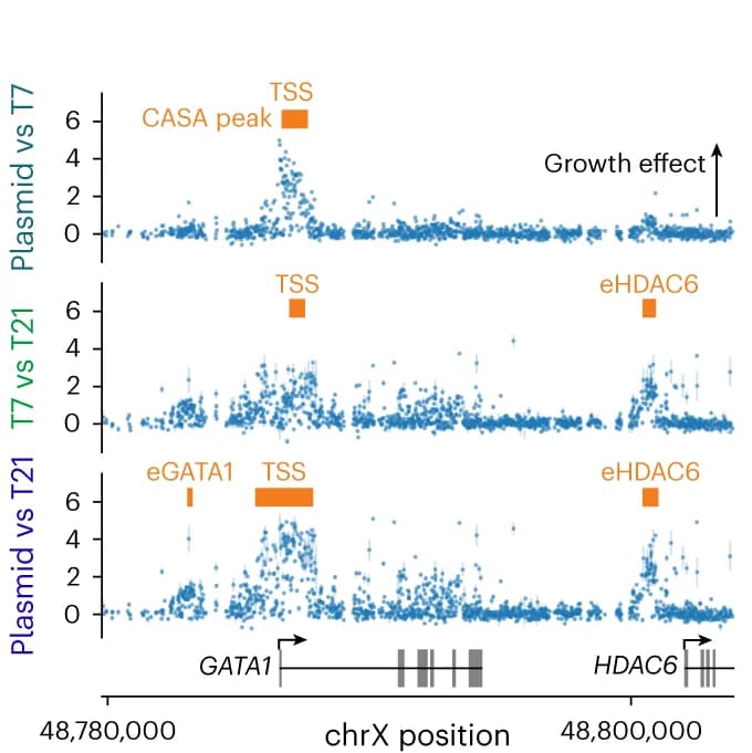 Open access visualization of Scatter Plot, Error Bars, CRISPRi, Growth Screen, GATA1 Locus
