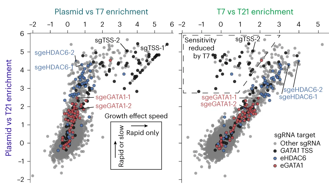 Open access visualization of Scatter Plot, sgRNA, Effect Sizes, TSS, Enhancers