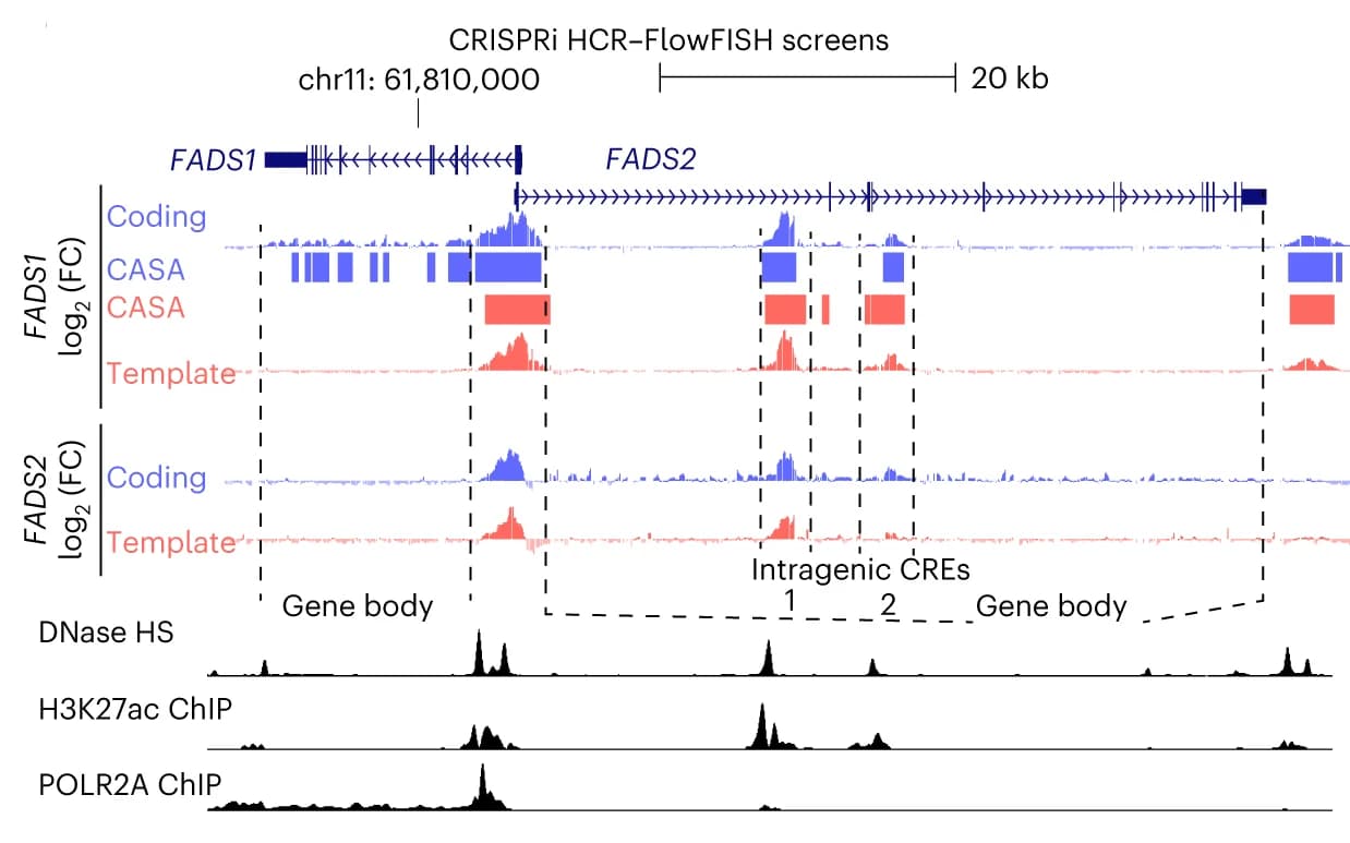 Open access visualization of Line Plot, CRISPRi, HCRFlowFish, FADS1, FADS2