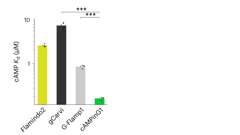 Open access visualization of Bar Plot, Error Bars, Kd Values, gCarvi, cAMPinG1