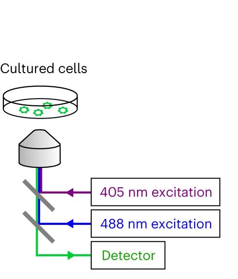 Open access visualization of Workflow, Flowchart, Illustration, Imaging Settings, Ratiometric Imaging