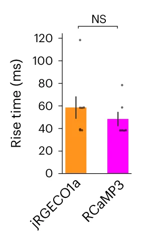 Open access visualization of Bar Plot, Error Bars, Calcium Sensor, Action Potentials, Fluorescence