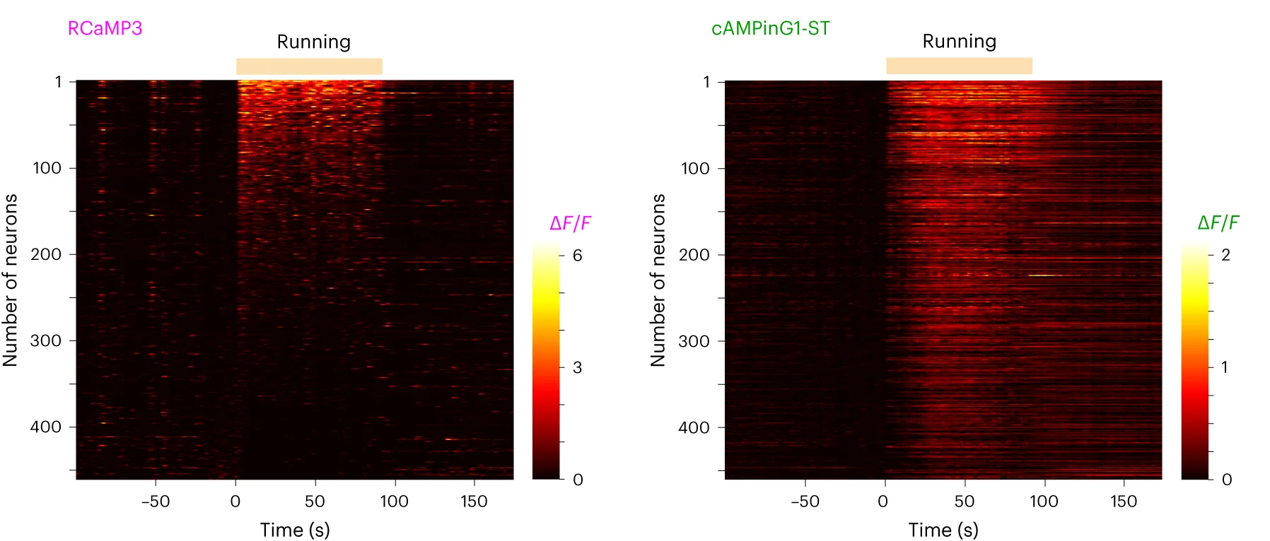 Open access visualization of Heatmap, Single-Trial Traces, RCaMP3, cAMPinG1-ST, Cells