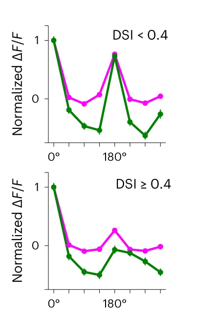 Open access visualization of Line Plot, Error Bars, Direction Selective, Visual Responses, RCaMP3
