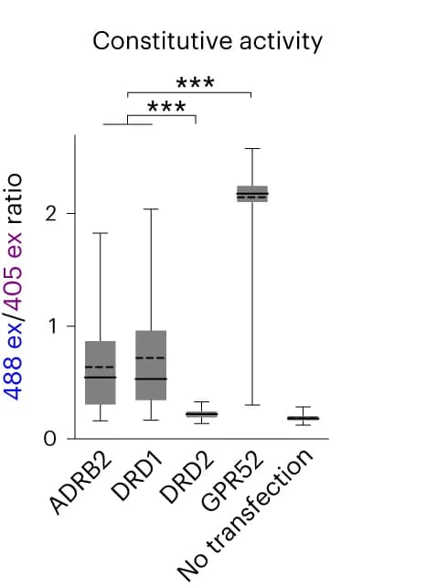 Open access visualization of Box Plot, 488 ex/405 ex Ratio, cAMPinG1 Cells, GPCRs-P2A-RFP, Ligands
