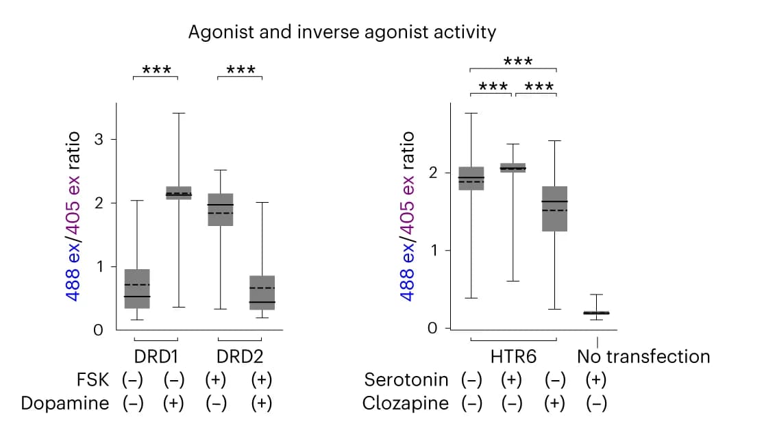 Open access visualization of Box Plot, 488 ex/405 ex Ratio, cAMPinG1 Cells, GPCRs-P2A-RFP, Agonists