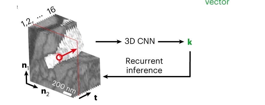 Open access visualization of Workflow, Illustration, RoboEM, Inference Setup