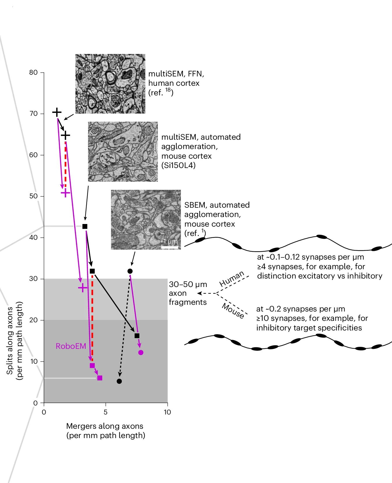 Open access visualization of Line Plot, Microscopy, Axon, Split Error, Merge Error