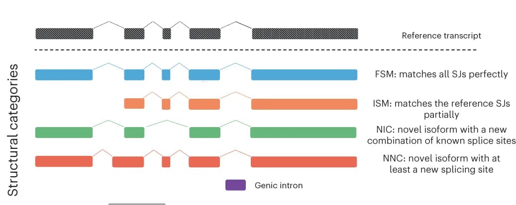 Open access visualization of Illustration, Workflow, Transcript Models, Known Genes
