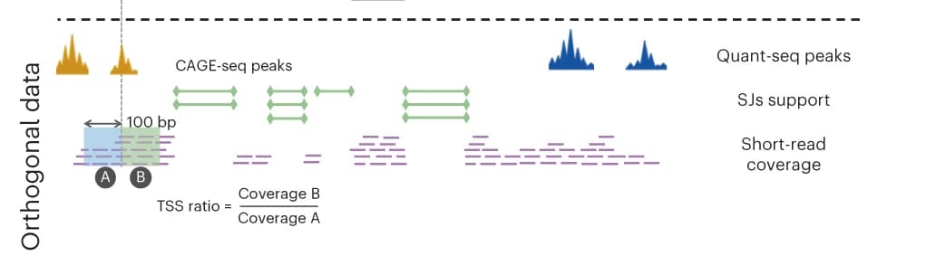Open access visualization of Line Plot, Data Features, Long Read, Splice Junction