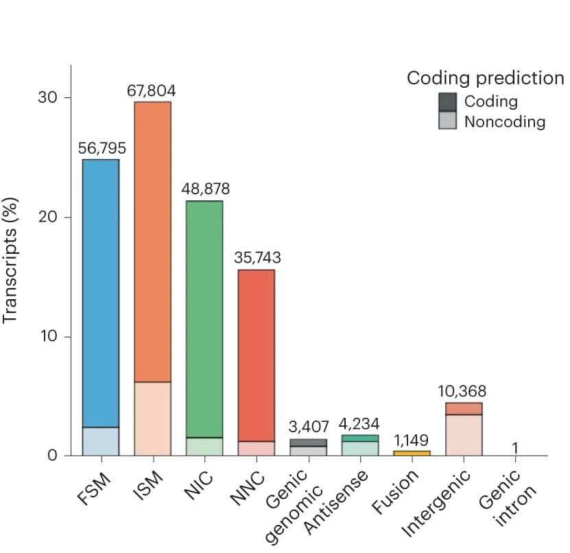 Open access visualization of Bar Plot, Stacked Bar Plot, Transcript Models, SQANTI3, WTC11 IsoSeq3