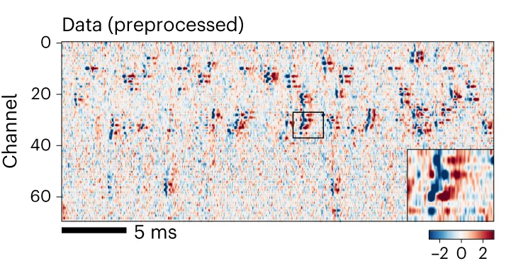 Open access visualization of Heatmap, Spectrogram, Preprocessed Data, Channels, Time Points