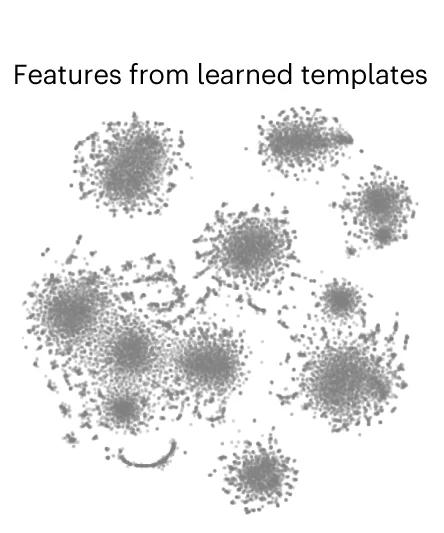 Open access visualization of Scatter Plot, UMAP, PCA, t-SNE, Spike Features