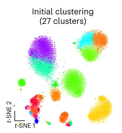 Open access visualization of Scatter Plot, UMAP, PCA, Clustering, t-SNE Visualization