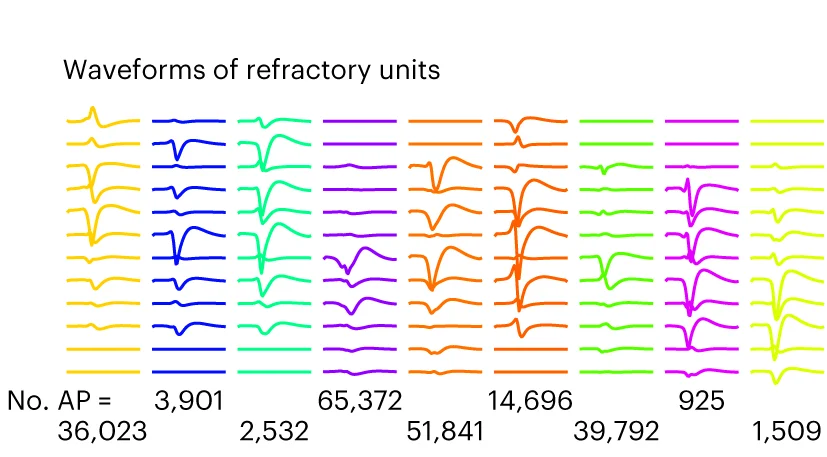 Open access visualization of Line Plot, Average Waveforms, Refractory Periods, Action Potentials, Clusters