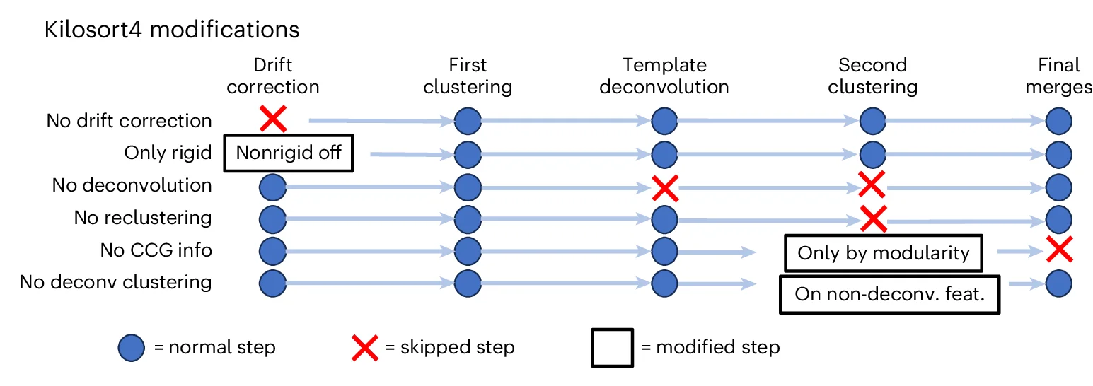 Open access visualization of Workflow, Flowchart, Drift Correction, Rigid Motion Correction, Template Deconvolution