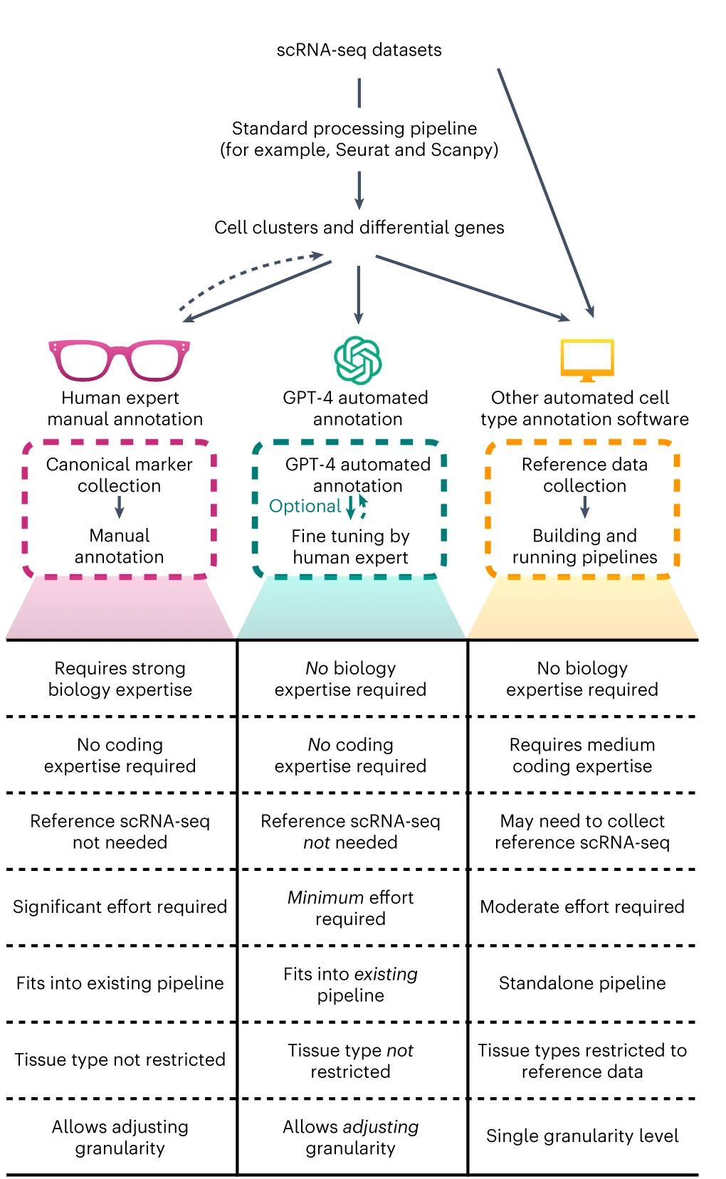 Open access visualization of Workflow, Flowchart, Cell Type Annotations, Human Experts, GPT-4