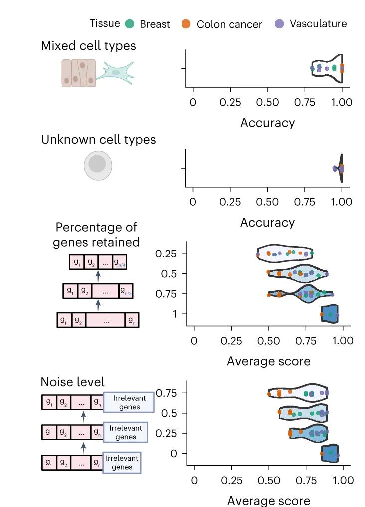 Open access visualization of Violin Plot, Scatter Plot, GPT-4, Cell Types, Subsampling