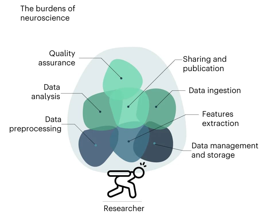 Open access visualization of Workflow, Illustration, Neuroimaging