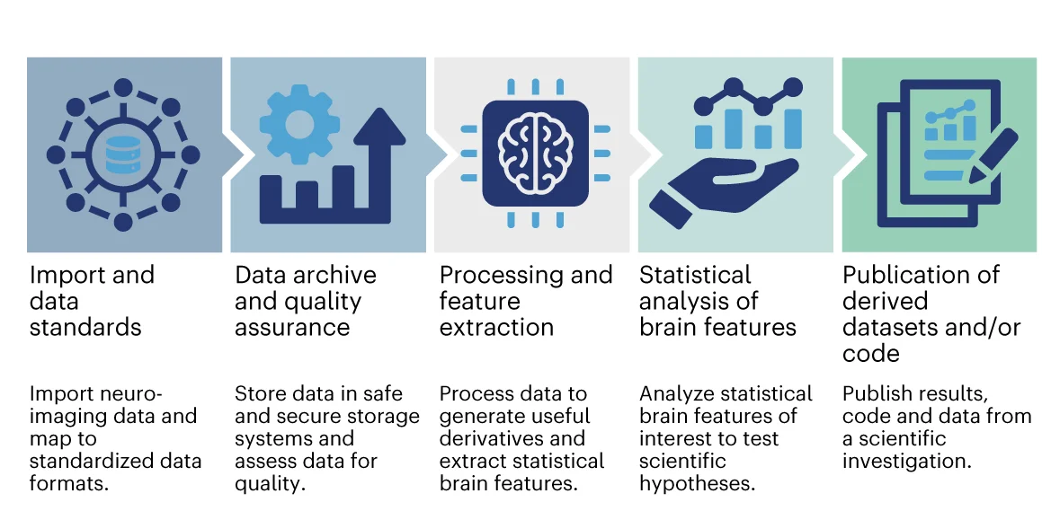 Open access visualization of Workflow, Flowchart, Illustration, brainlife.io, Services