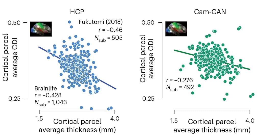 Open access visualization of Scatter Plot, Regression Plot, Cortical Thickness, NODDI Model, ODI