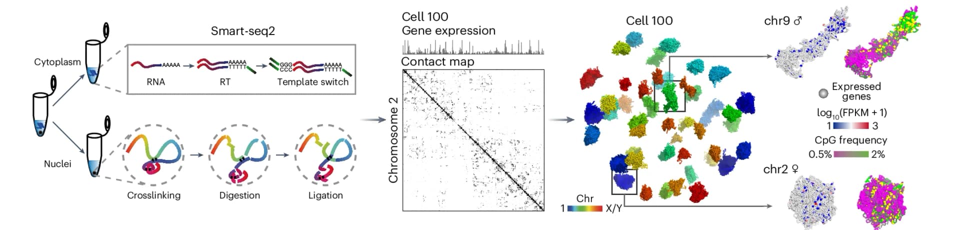 Open access visualization of Workflow, Illustration, Heatmap, Bar Plot, Scatter Plot