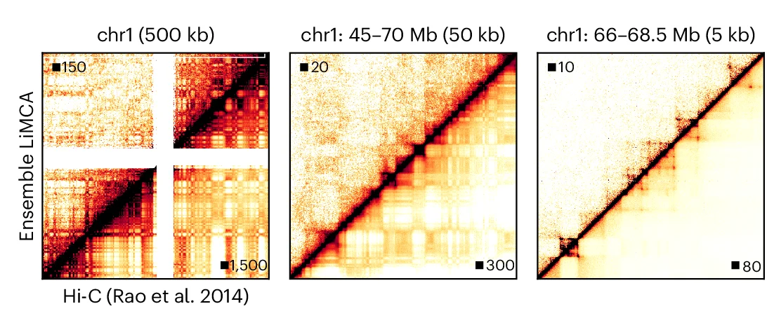 Open access visualization of Heatmap, LiMCA, Hi-C, Genomics