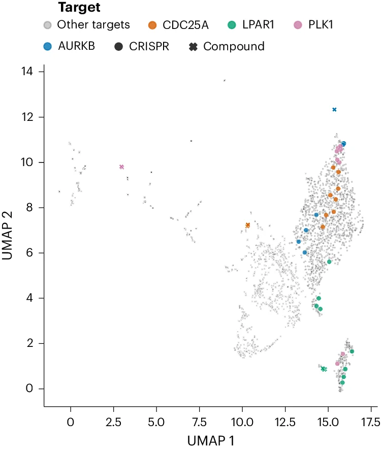 Open access visualization of Scatter Plot, UMAP, A549 Cells, Compounds, CRISPR Guides