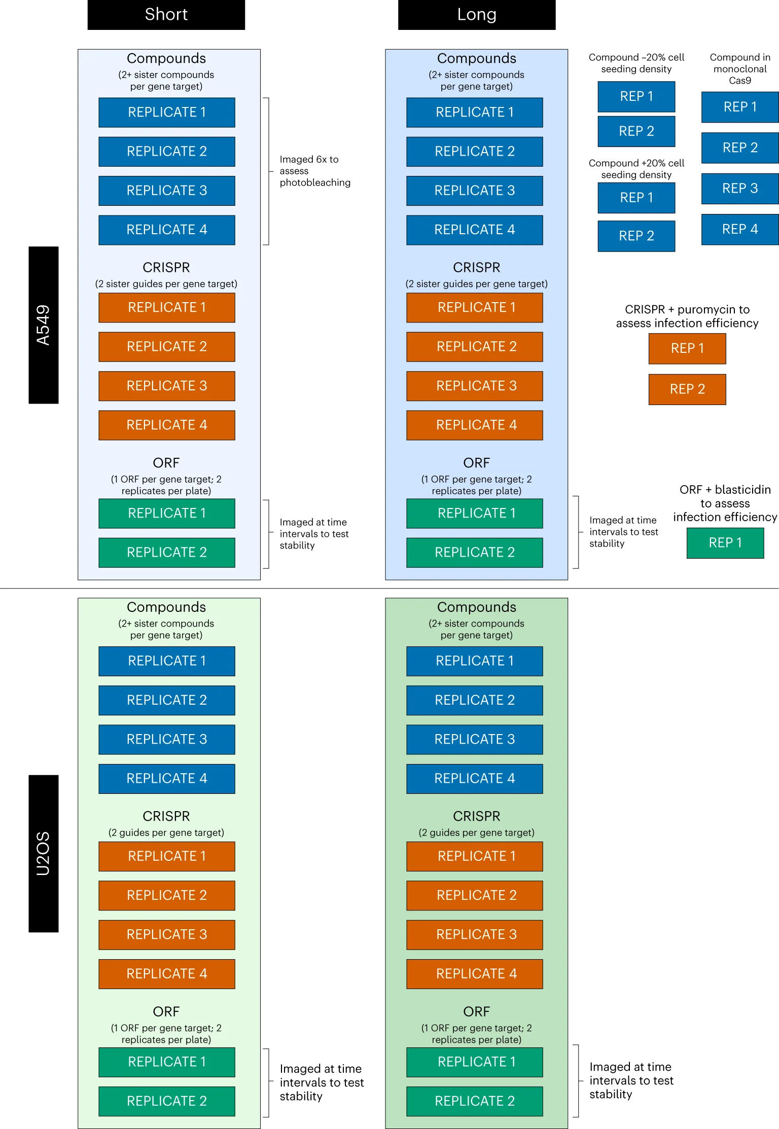 Open access visualization of Workflow, Flowchart, Illustration, Replicates, 384-well Plate