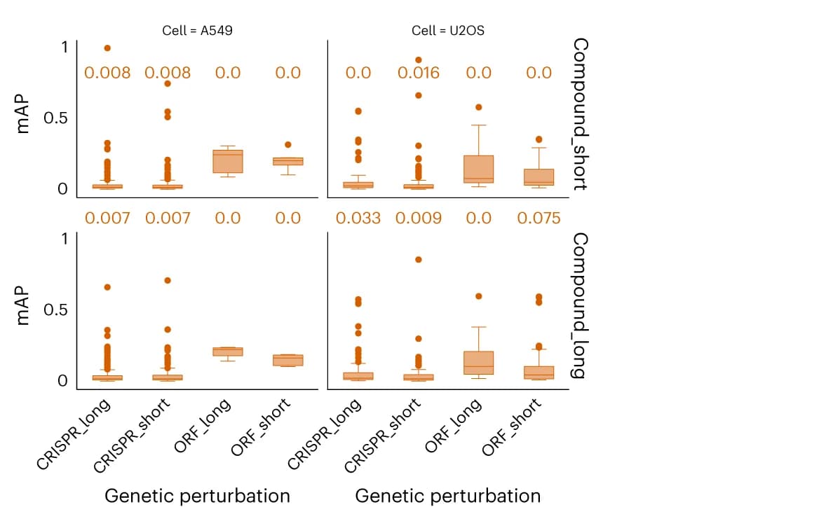 Open access visualization of Box Plot, Scatter Plot, Perturbation Matching, Mean Average Precision, Compound-Gene Pairs