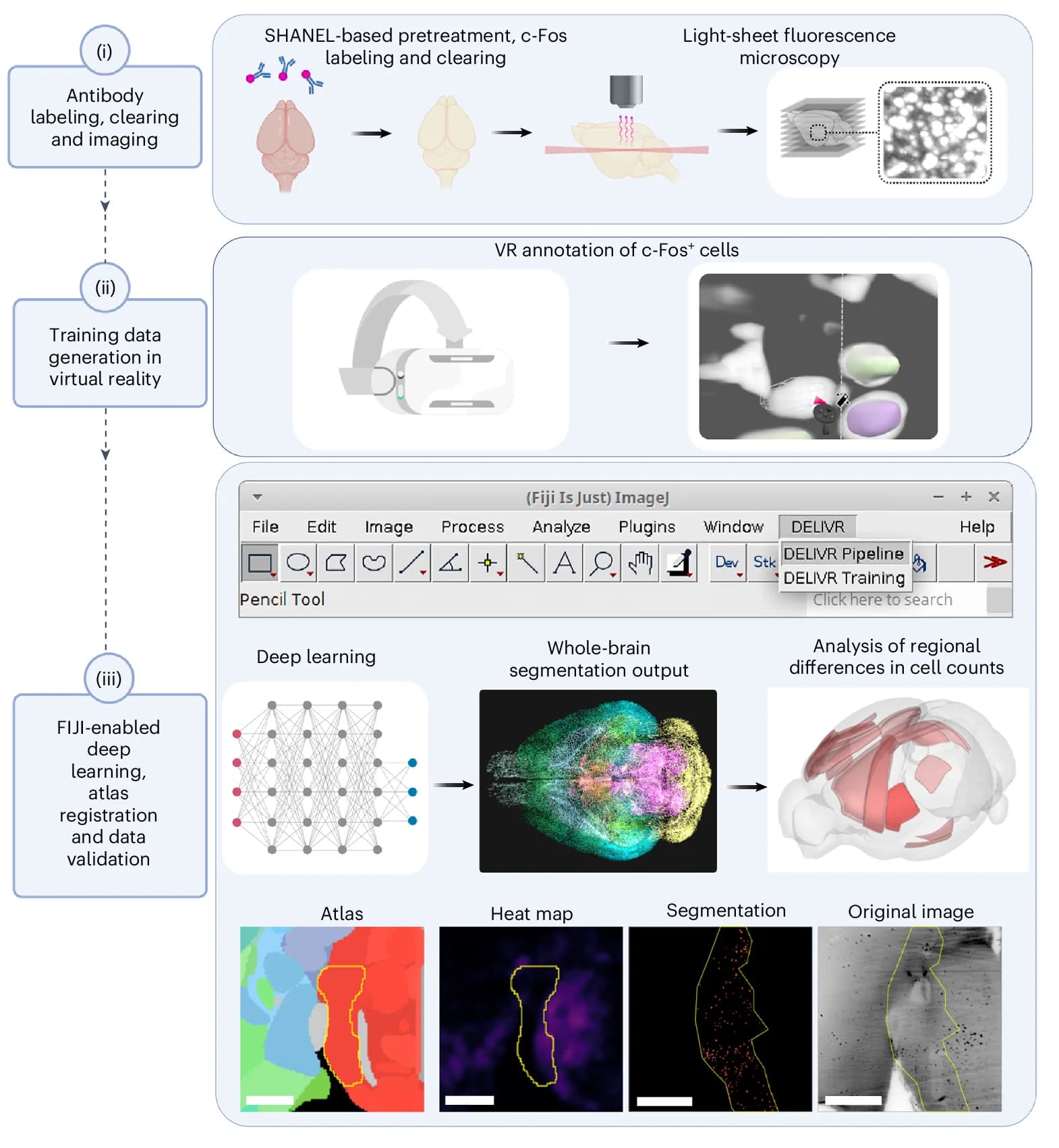Open access visualization of Workflow, Illustration, Heatmap, Microscopy, VR