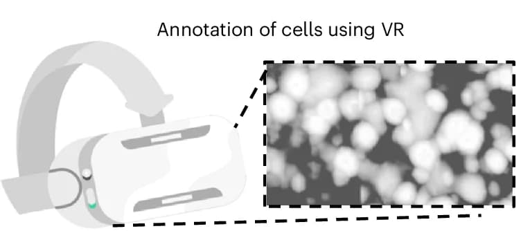 Open access visualization of Microscopy, Illustration, VR Goggles, VR, Zoomed-In View
