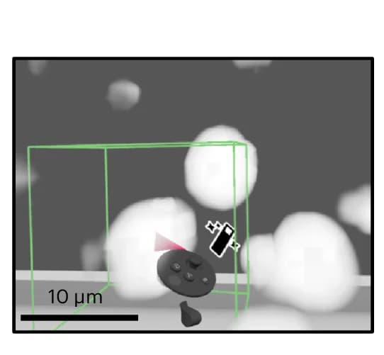 Open access visualization of Microscopy, Arivis VisionVR, Cells, Annotation, Selection Cube