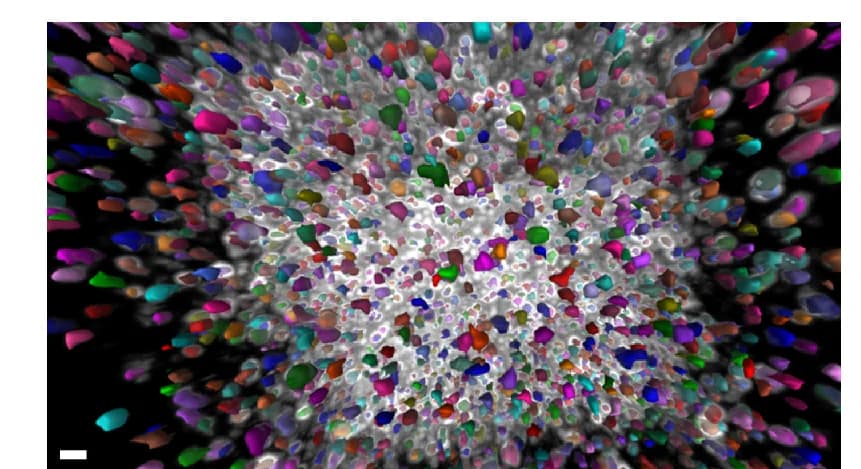 Open access visualization of 3D Plot, Annotation Overlay, VR, Scale Bar